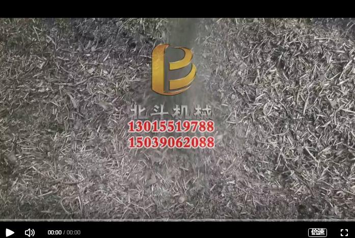 药渣向日葵视频色板实现了中药渣高效资源化利用,巧制药渣炭