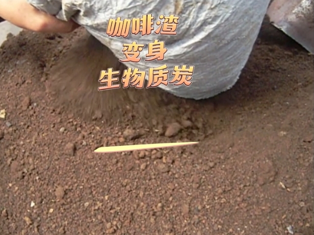 变废为“炭”咖啡渣向日葵视频色板促进资源再生利用